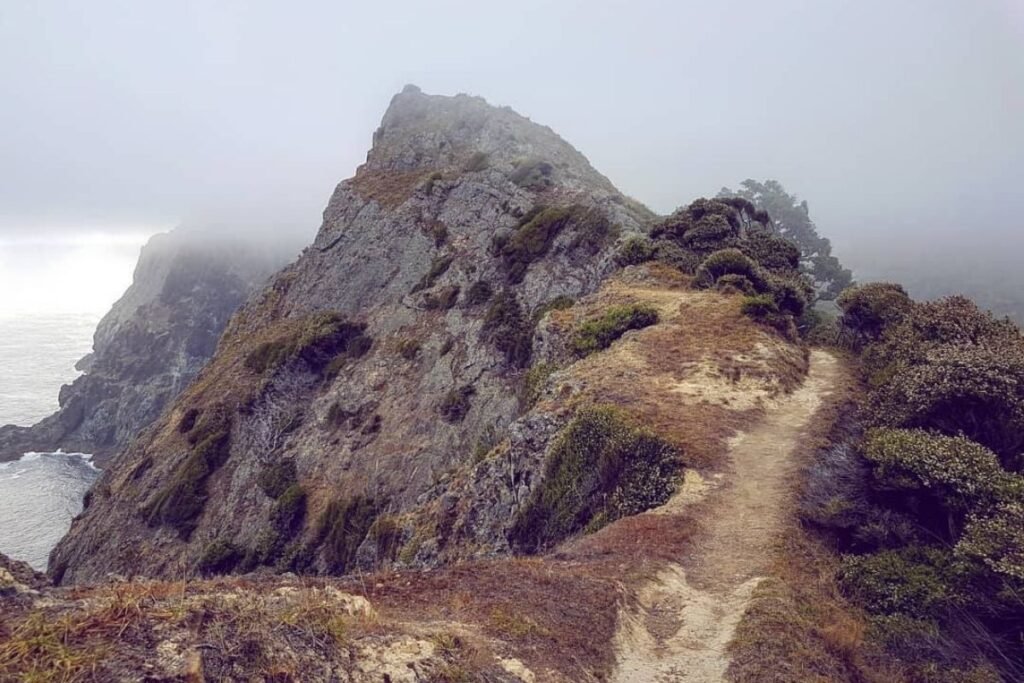 Cape Brett HIking Trail