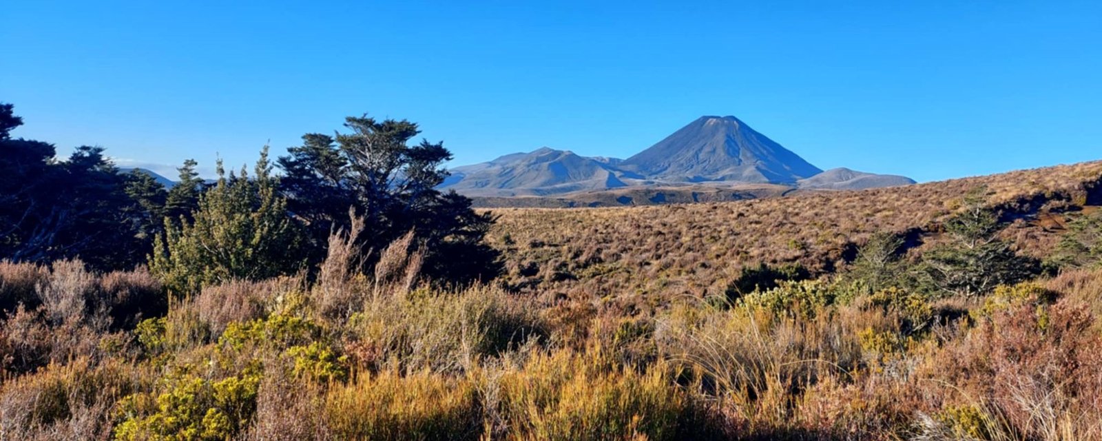 Tongariro National Park