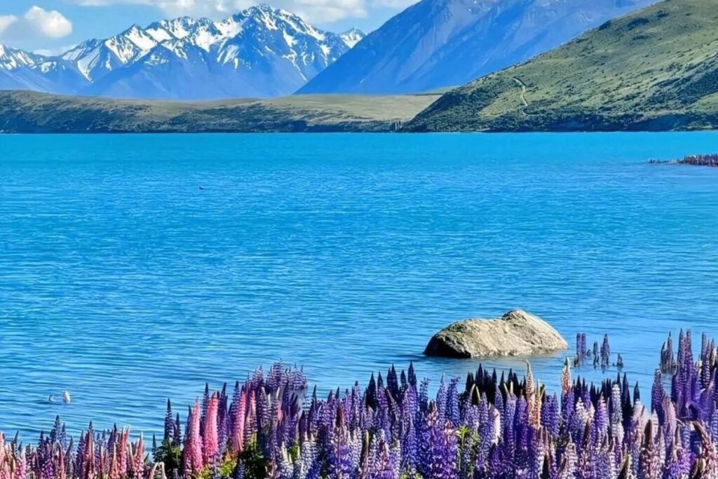 Lake Tekapo