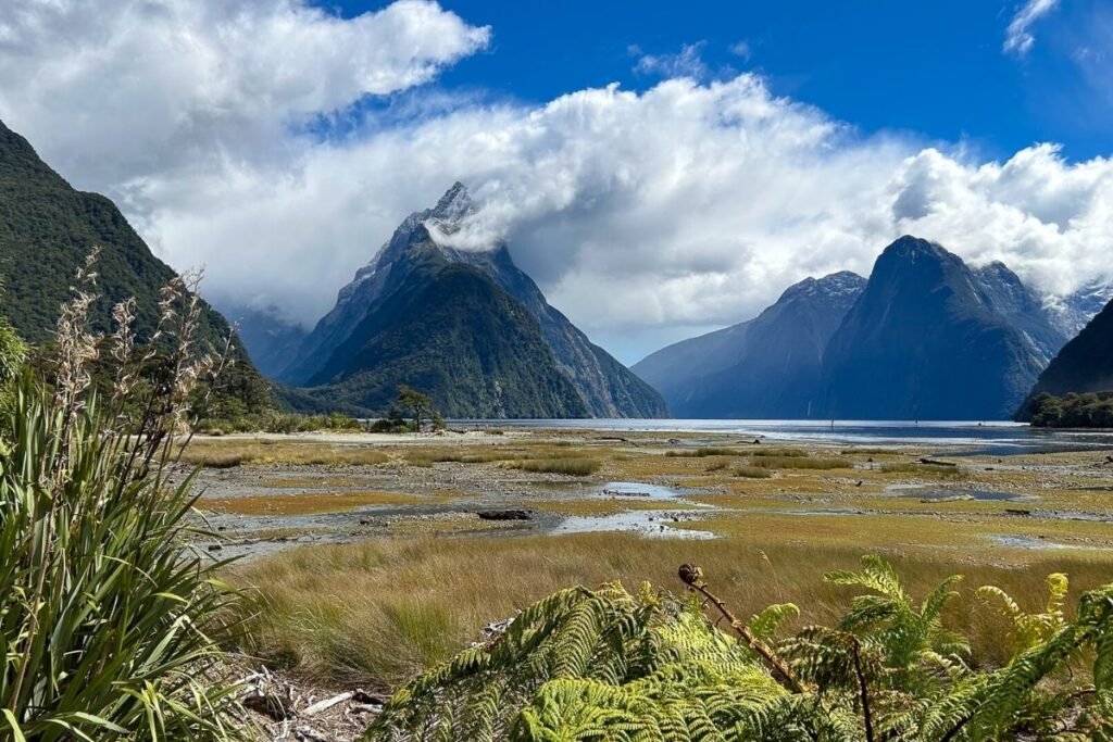 Milford Sounds
