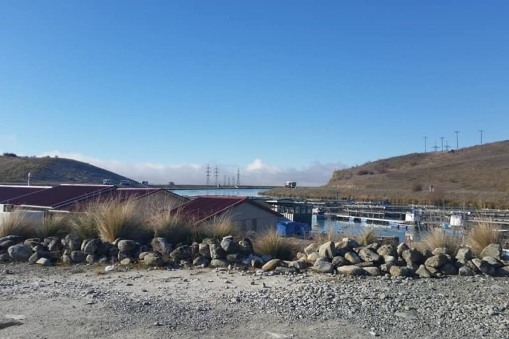Canterbury Salmon Farm out side of Twizel