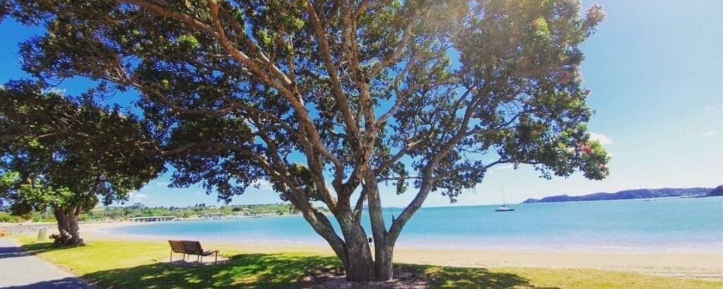 Waterfront in Paihia, Pēwhairangi – Bay of Islands