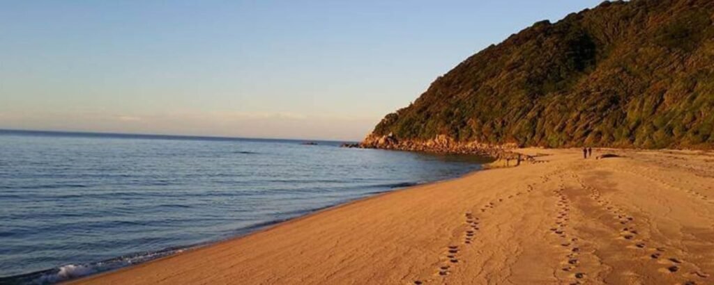 Abel Tasman Hero image