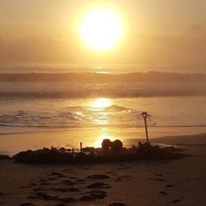 Coromandel Peninsula Hot water Beach