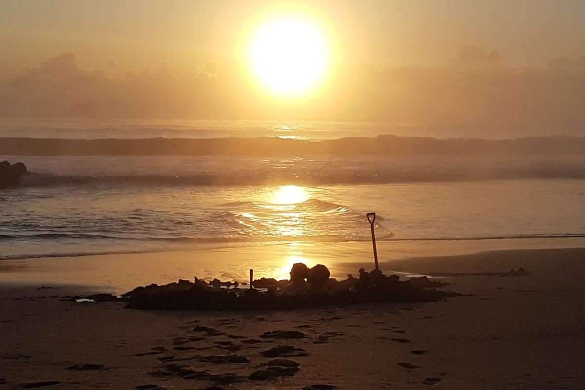 Coromandel Peninsula Hot water Beach