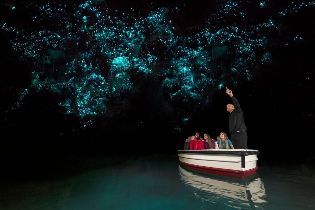 Waikato Waitomo Caves