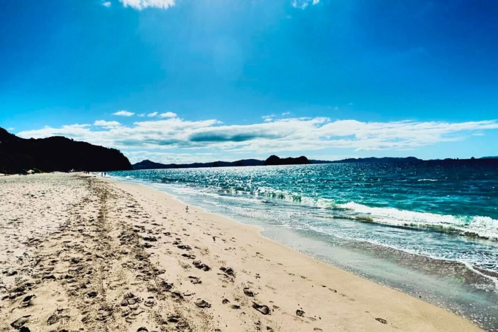 Coromandel Hahei Beach