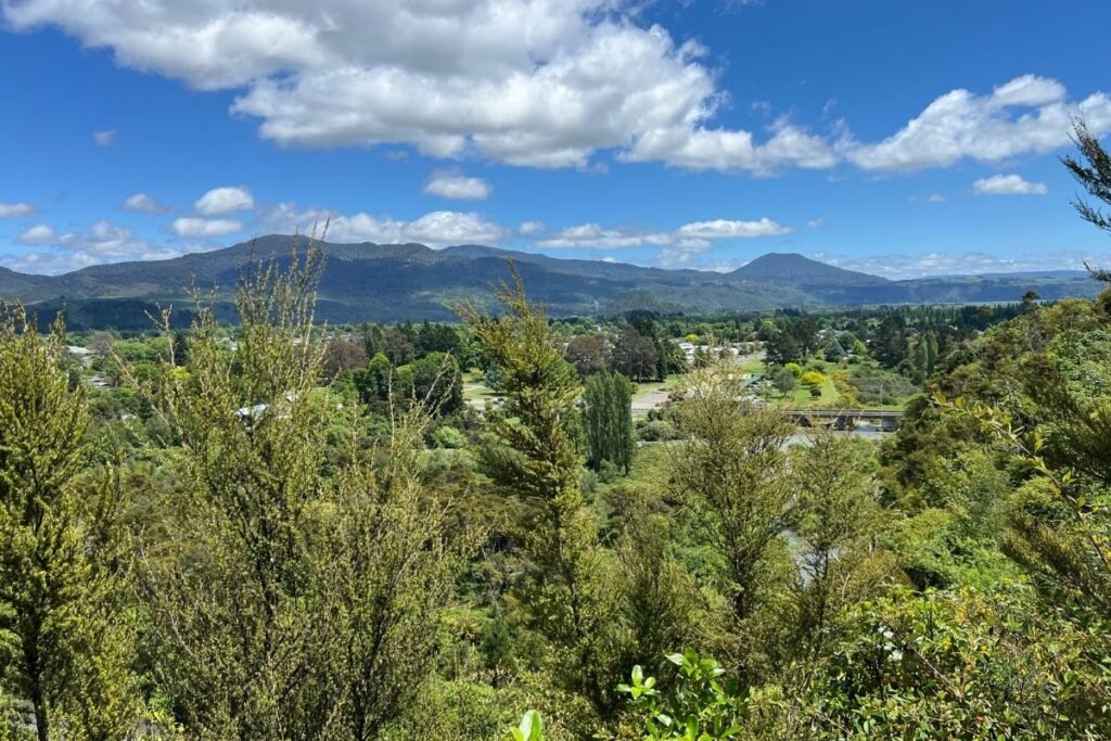 Turangi