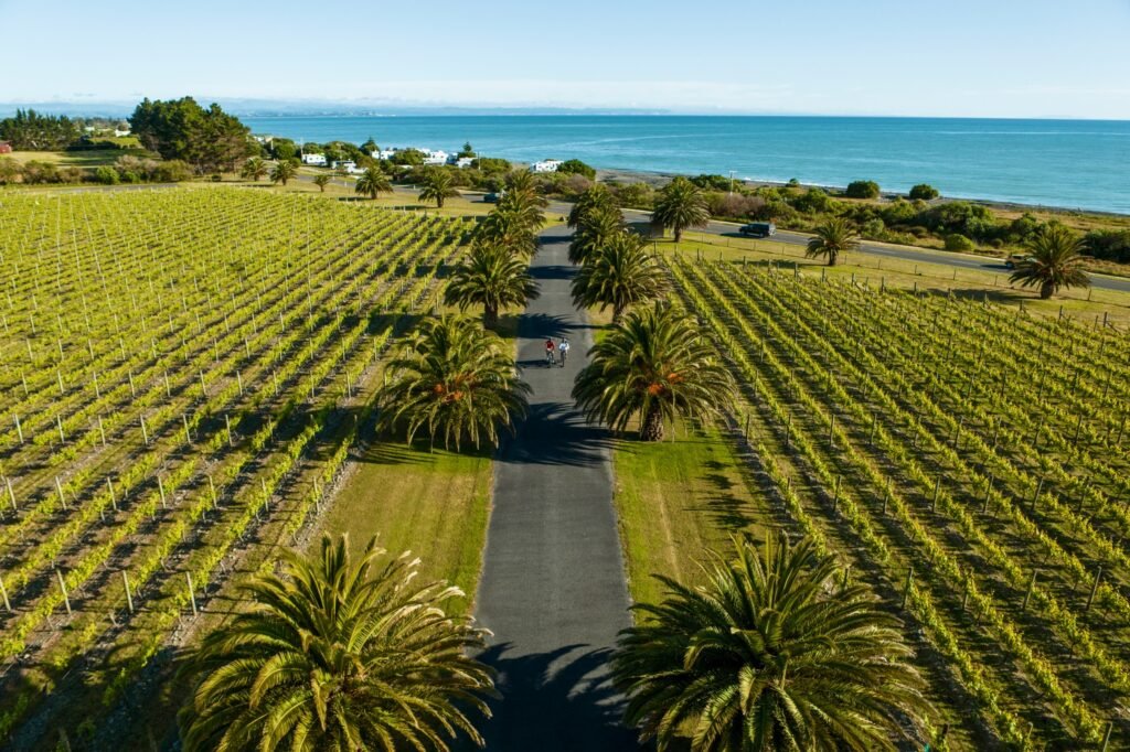 Hawkes Bay Wine Region