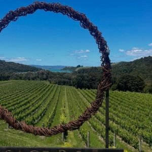 Waiheke Island Vineyard