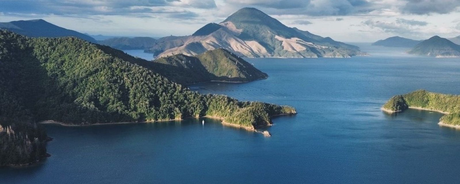 Best Things to Do in the Marlborough Sounds: Cruises, Kayaks & Coastal ...