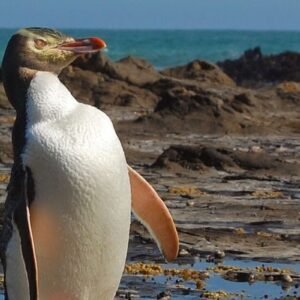 Southland Destination Guide