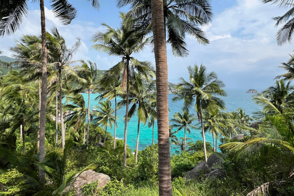 Koh Tao Diamond HIll