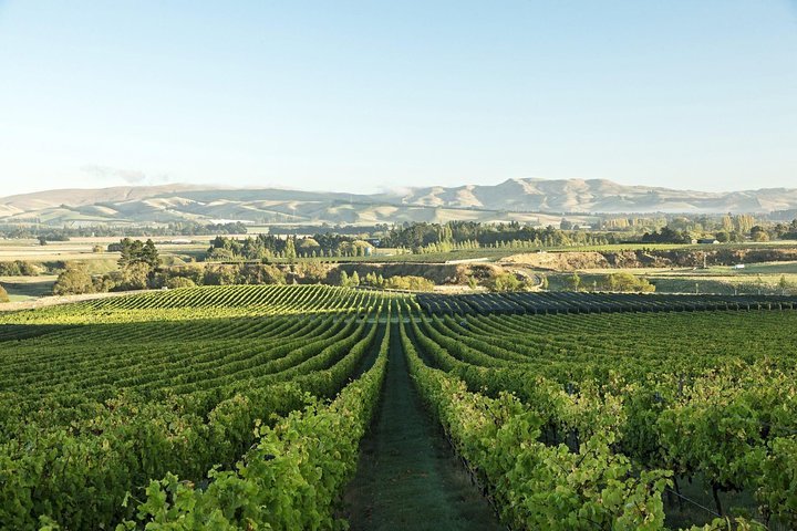 Wineries NZ