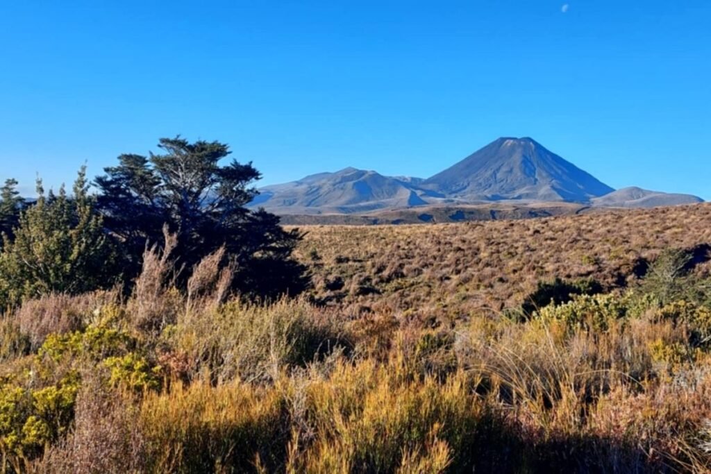 Tongariro National Park
