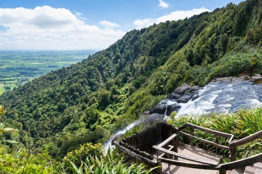 Waikato Hiking trails