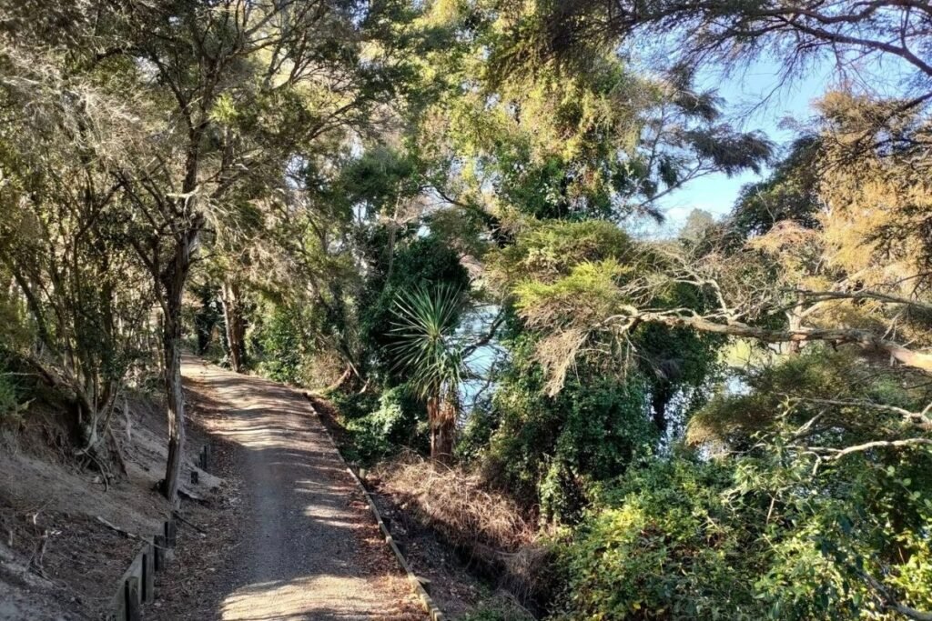 Huka Falls Track