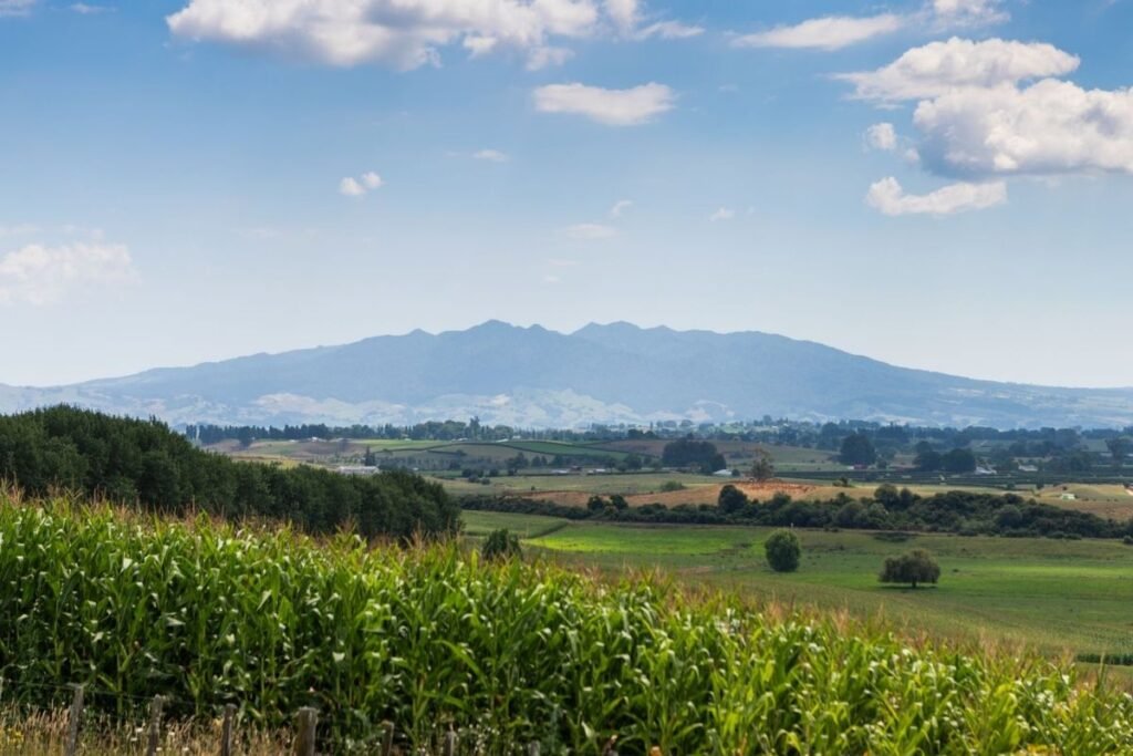 Waikato Farmland-Mt pirongia in the background