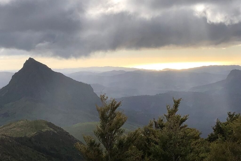 Te Tai Rawhiti - Maunga Hikurangi 