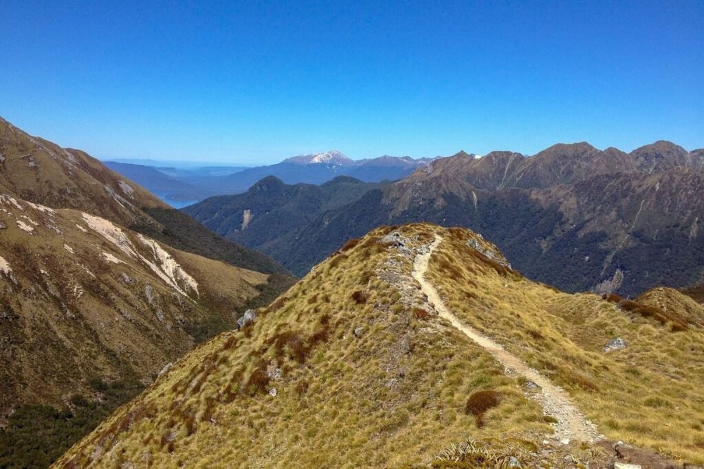 Kepler Track