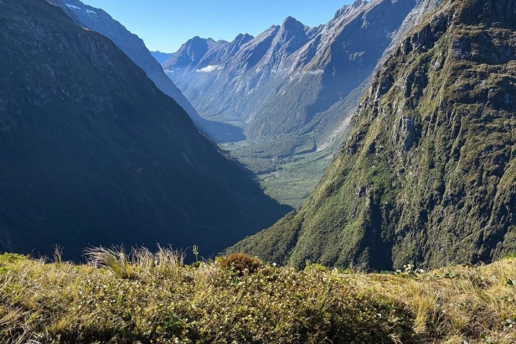 Milford track