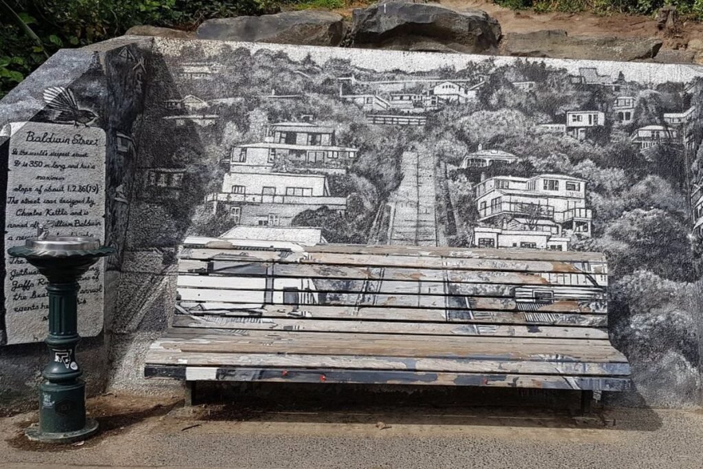 dunedin Baldwin Street art
