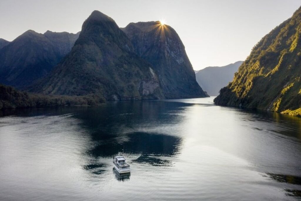 luxury lunch cruise milford sounds