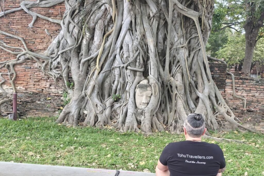 Ayutthaya Bhudda Tree