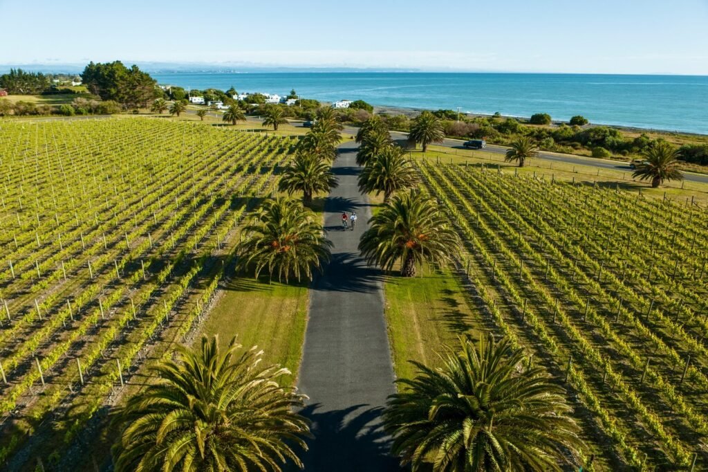 hawkes bay wines