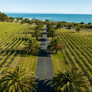 hawkes bay wines