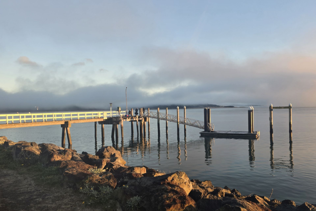 Opononi Harbour in the Hokianga
