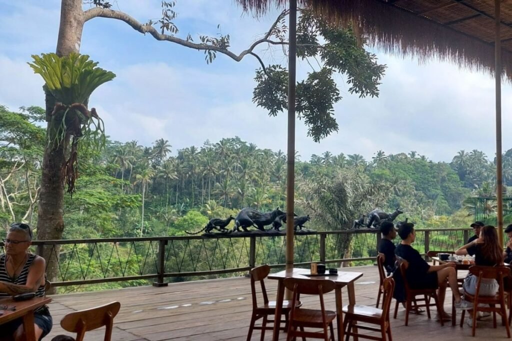 Coffee plantation on the bike tour in Bali